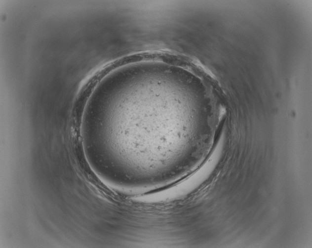 X0000061741400200512091558