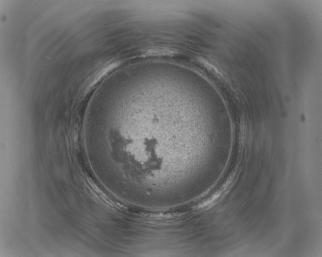 X0000061741401200512091559