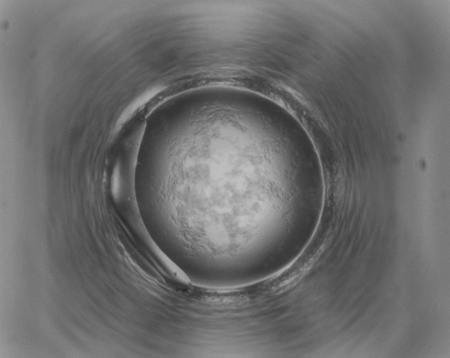 X0000061741402200512091559