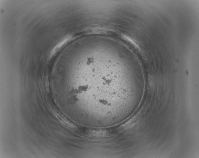 X0000061741403200512091559