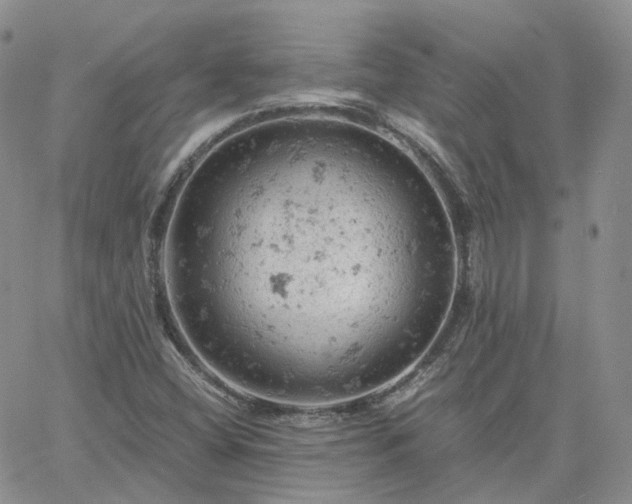 X0000061741404200512091559