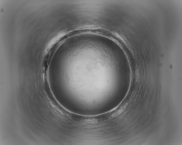 X0000061741406200512091559