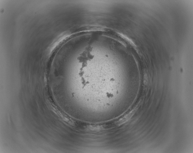 X0000061741407200512091559