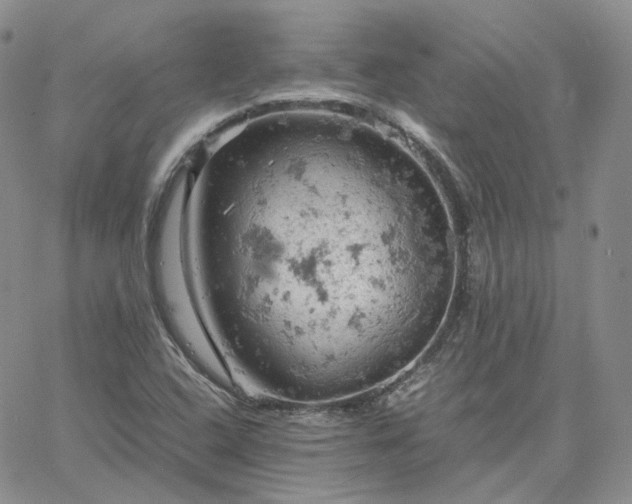 X0000061741408200512091559