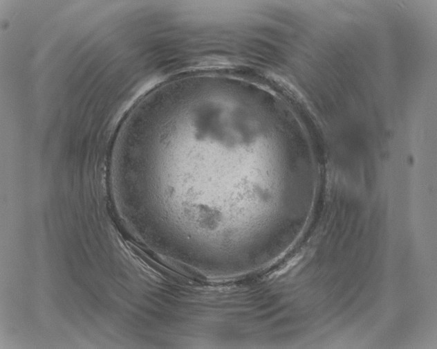 X0000061741409200512091559