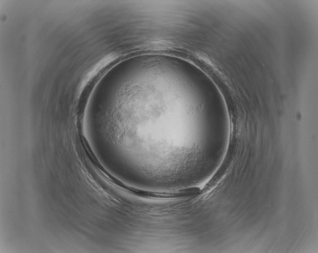 X0000061741410200512091559