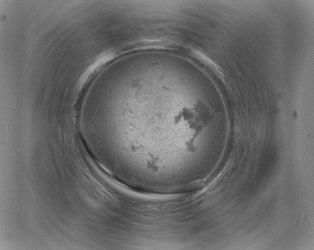 X0000061741411200512091559