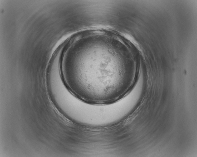 X0000061741412200512091559