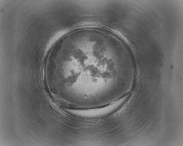 X0000061741413200512091559