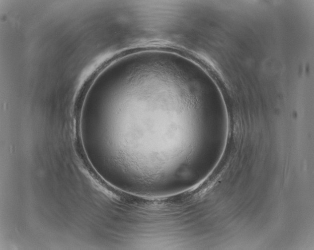 X0000061741414200512091559