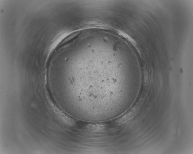 X0000061741415200512091559