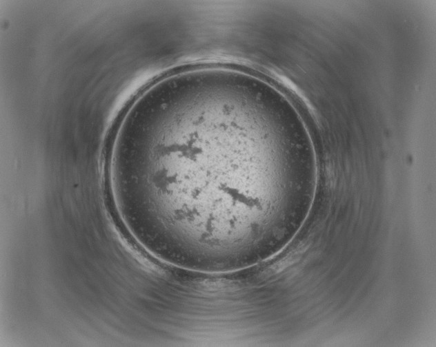 X0000061741416200512091559