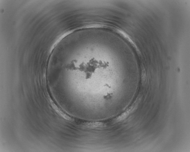 X0000061741417200512091559