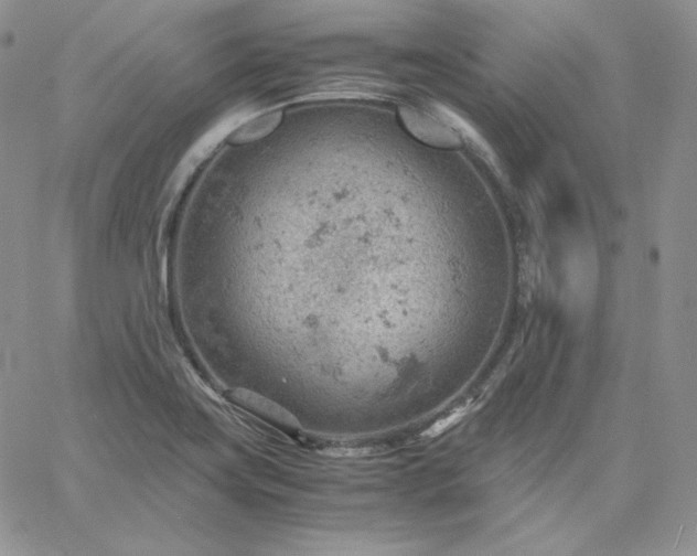 X0000061741419200512091559