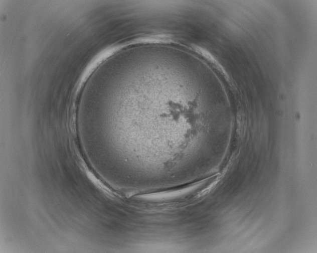 X0000061741421200512091559