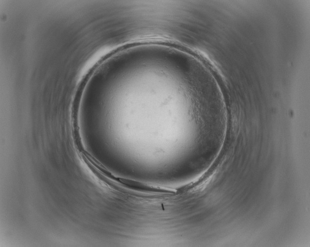 X0000061741422200512091559