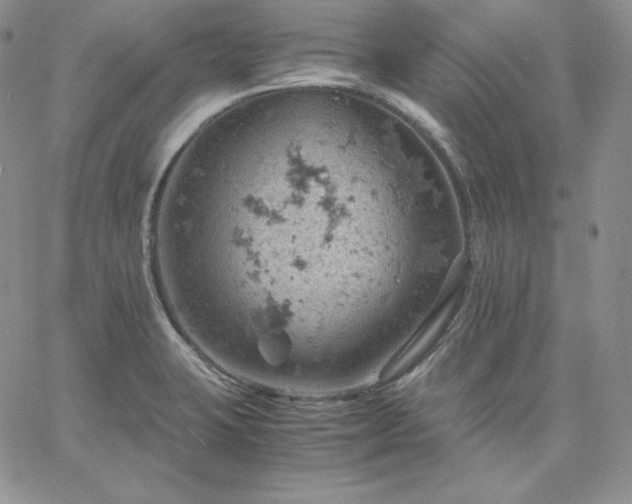 X0000061741423200512091559