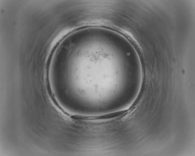 X0000061741424200512091559