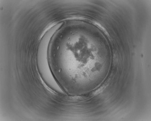 X0000061741425200512091559