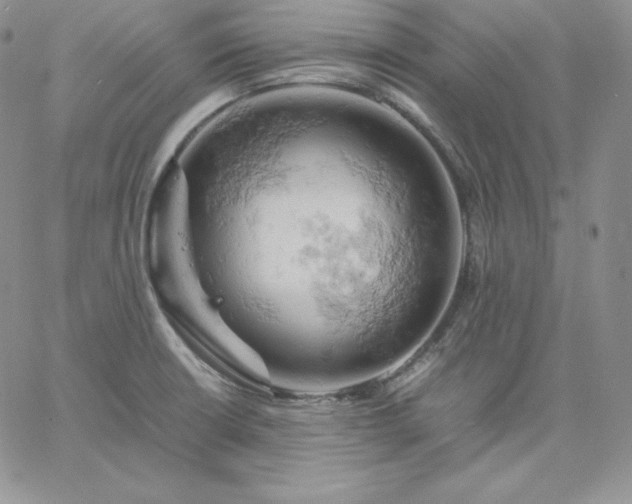 X0000061741426200512091559