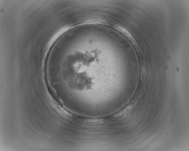 X0000061741427200512091559