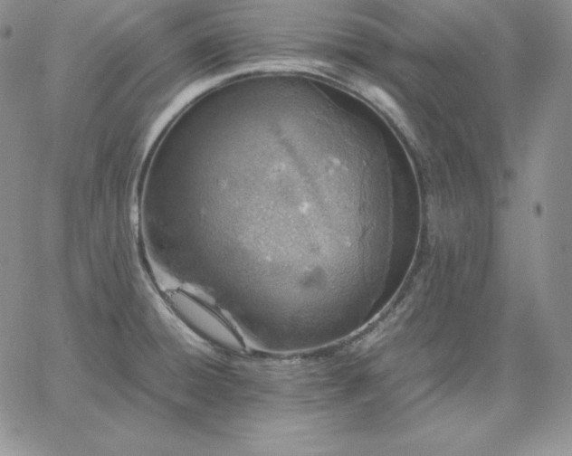 X0000061741428200512091559