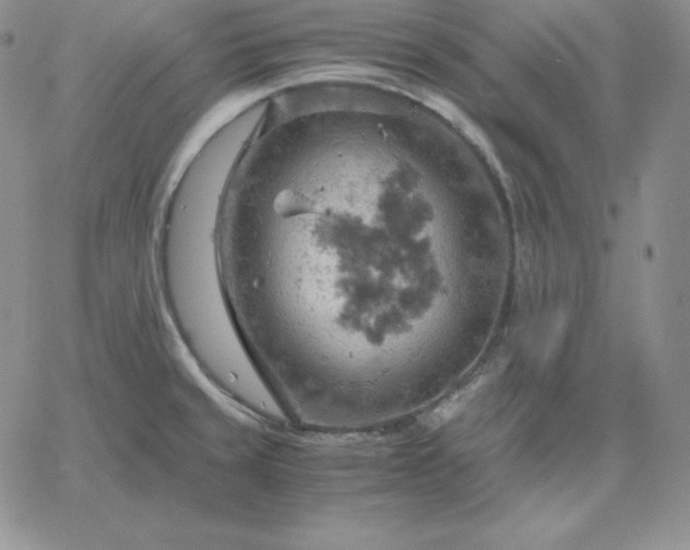 X0000061741429200512091559