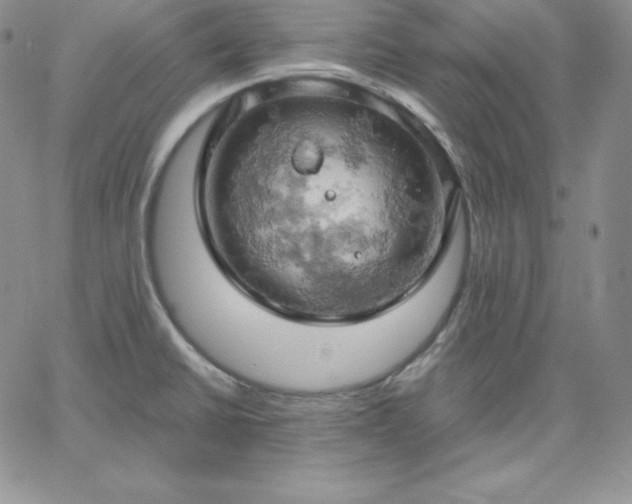 X0000061741430200512091559