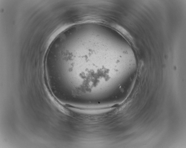 X0000061741431200512091559