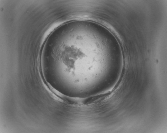 X0000061741432200512091559