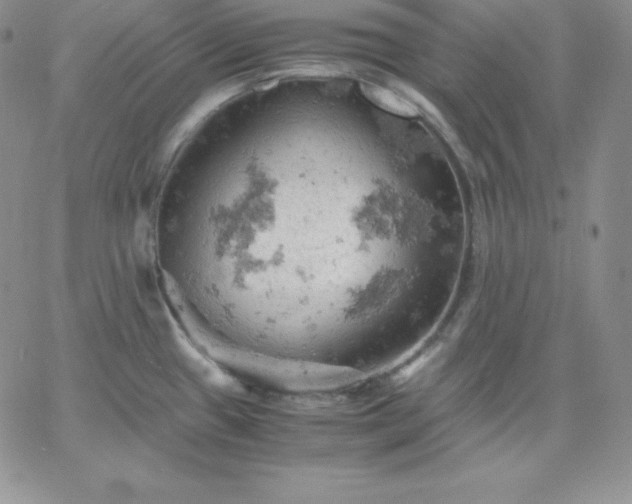 X0000061741433200512091559