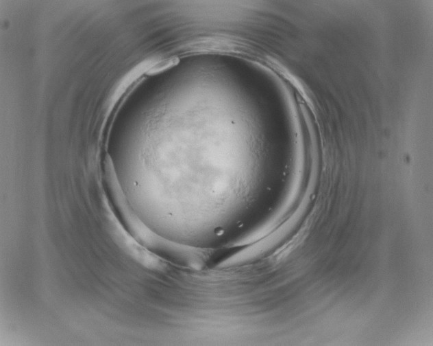 X0000061741434200512091559