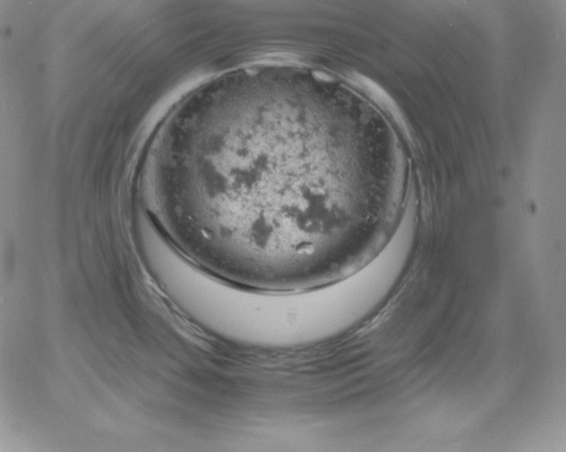 X0000061741435200512091559