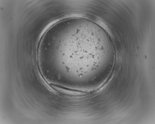 X0000061741436200512091559