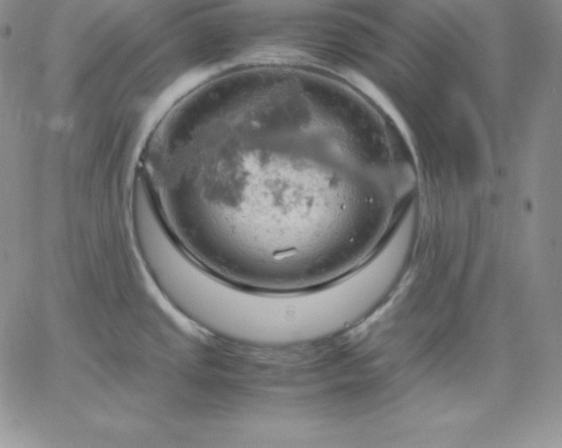 X0000061741437200512091559