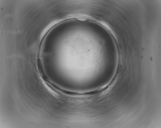 X0000061741438200512091559