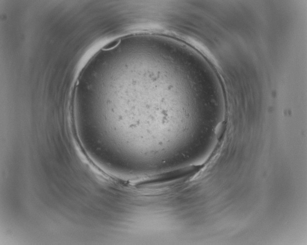 X0000061741440200512091559