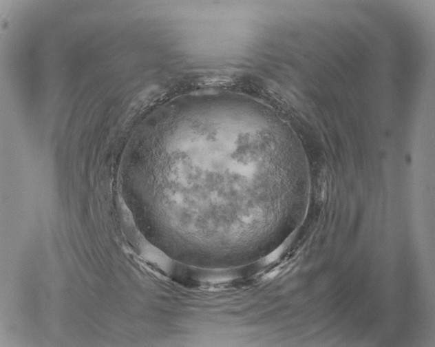 X0000061741441200512091558