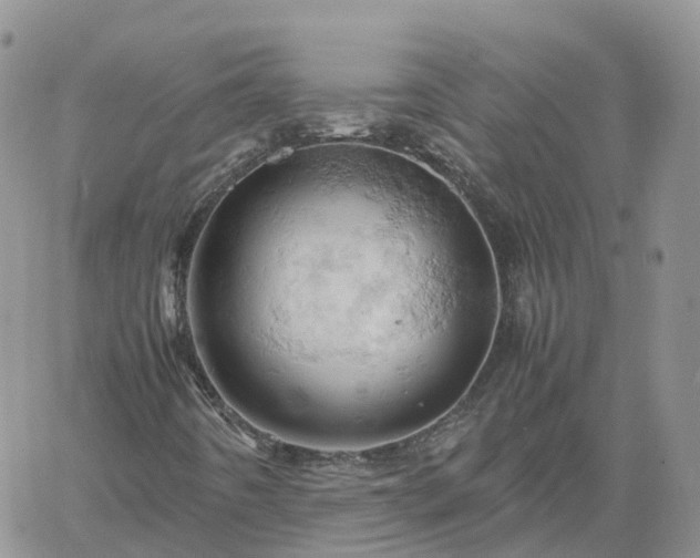 X0000061741442200512091558