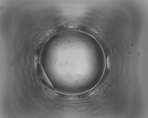 X0000061741443200512091558