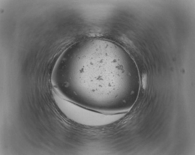 X0000061741444200512091558