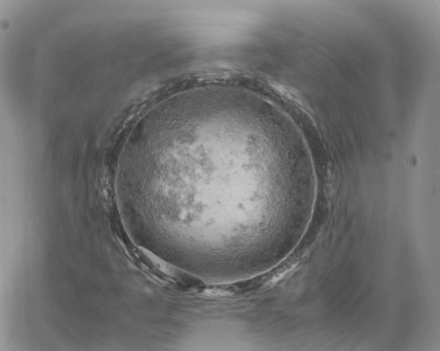 X0000061741445200512091558