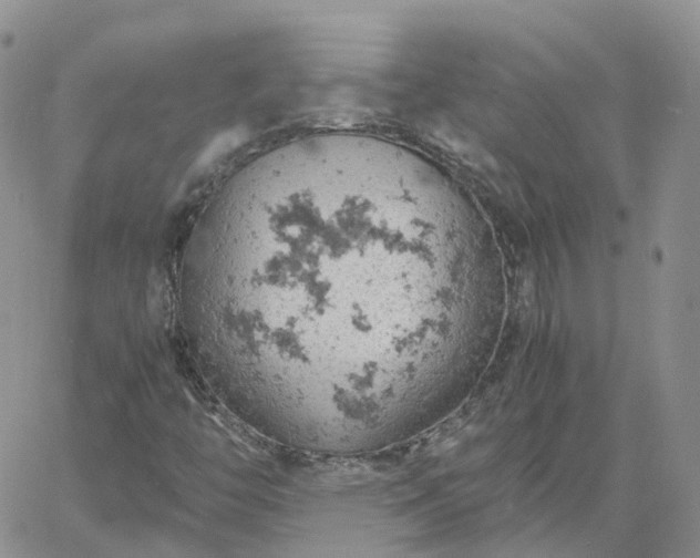 X0000061741446200512091558