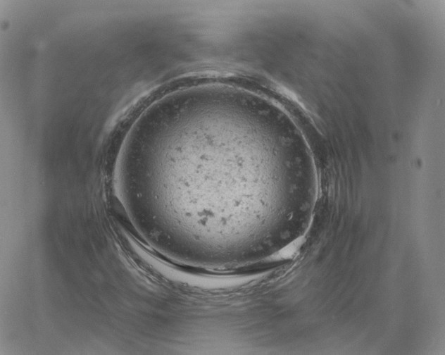 X0000061741448200512091558