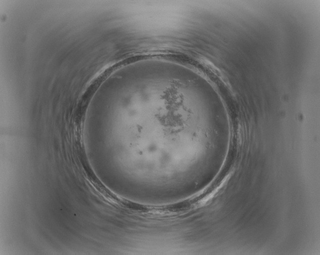 X0000061741449200512091558