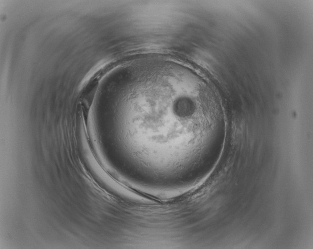 X0000061741450200512091558