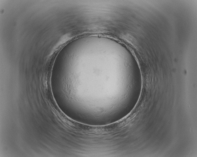 X0000061741451200512091558