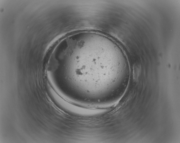 X0000061741452200512091558