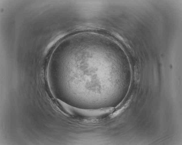 X0000061741453200512091558