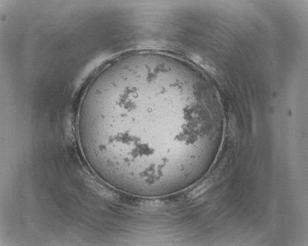 X0000061741454200512091558